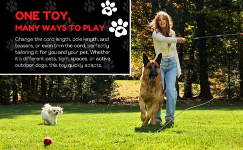 THE PET WRANGLER - Image 5