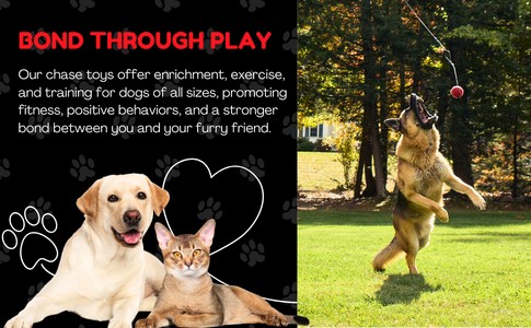 THE PET WRANGLER - Image 7