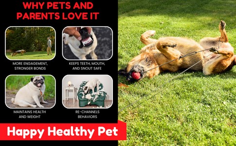 THE PET WRANGLER - Image 8