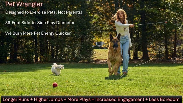 THE PET WRANGLER