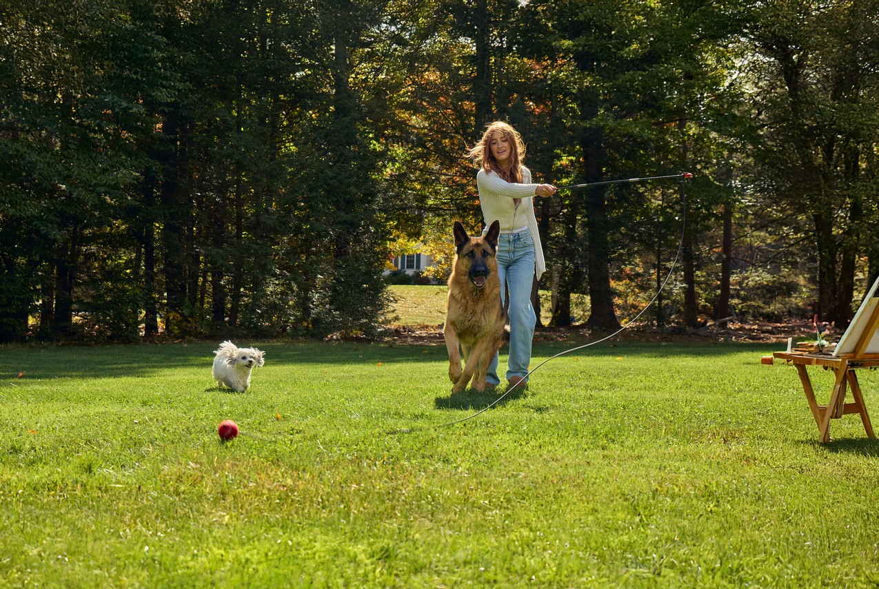 Pet Wrangler Assembly